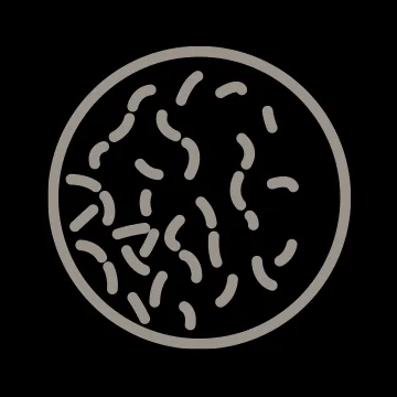 Observatoriet